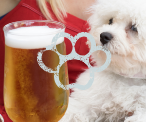 Dogs Welcome