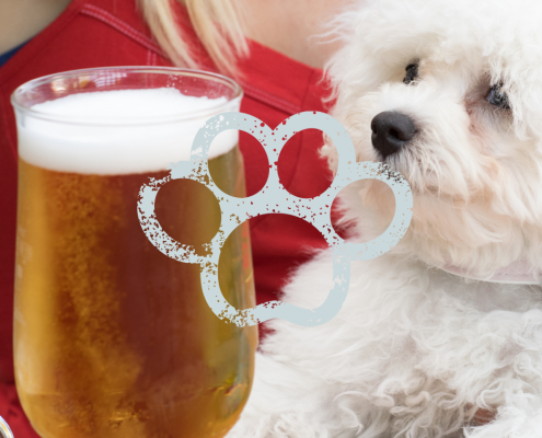 Dogs Welcome